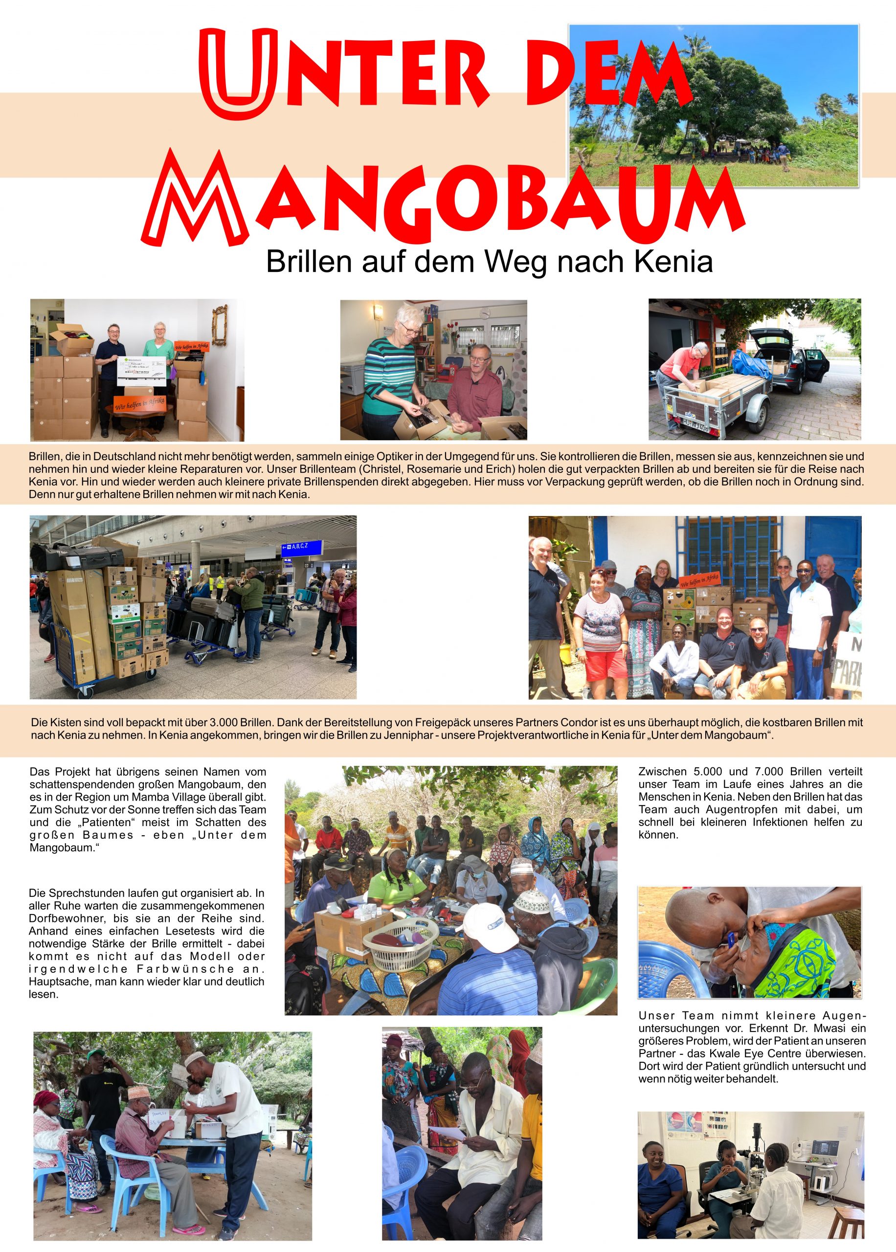 20 Zeitstrahl V2 Mangobaum 1